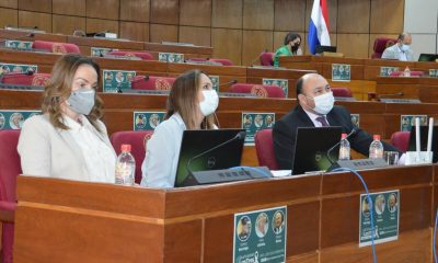 Fernández en la Cámara de Senadores. (Foto Senado)