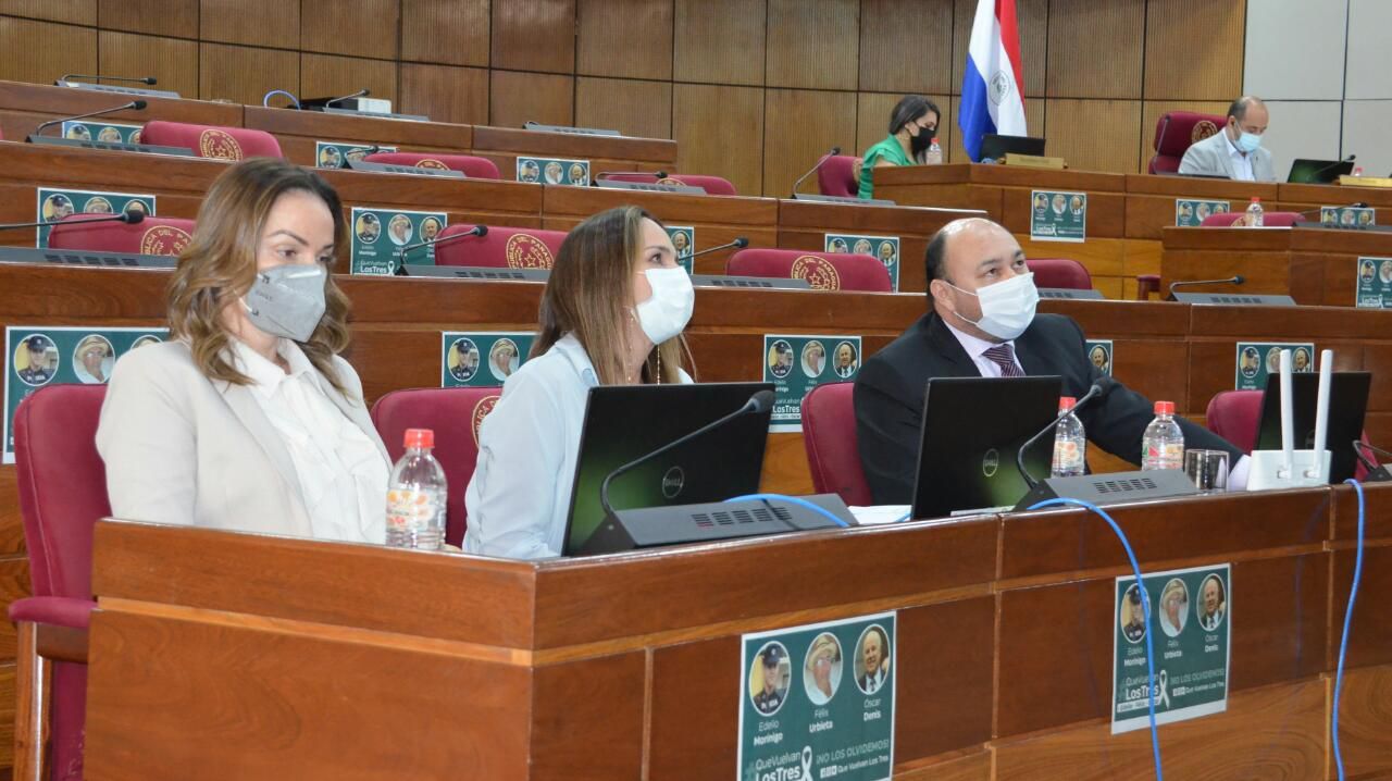 Fernández en la Cámara de Senadores. (Foto Senado)