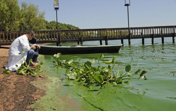 Así esaba el lago Ypacaraí hace 9 años. (Foto RCC).