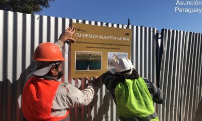 Obra del edificio histórico del Puerto de Asunción se ejecuta atendiendo cuidados y respeto hacia el medio ambiente. Foto: Gentileza.