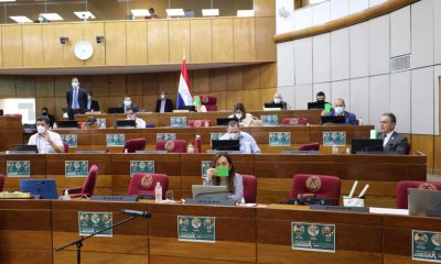 Cámara de Senadores. (Foto: Senado).