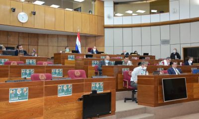 Durante la sesión de la Cámara de Senadores. (Foto Senado).