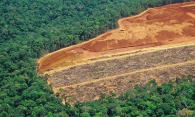 El estudio tiene en cuenta, por primera vez, las emisiones causadas por la deforestación, no solo la quema de combustibles fósiles. Foto: Getty.