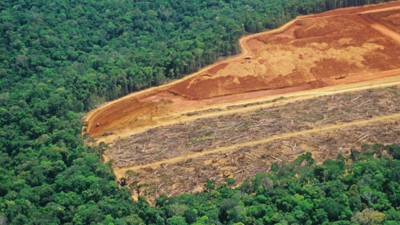 El estudio tiene en cuenta, por primera vez, las emisiones causadas por la deforestación, no solo la quema de combustibles fósiles. Foto: Getty.