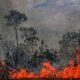 Incendios en la Amazonía. Foto: Picture Aliance.