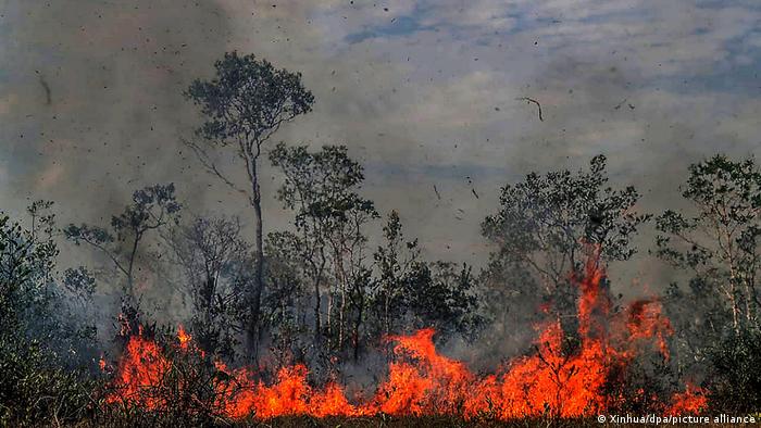 Incendios en la Amazonía. Foto: Picture Aliance.