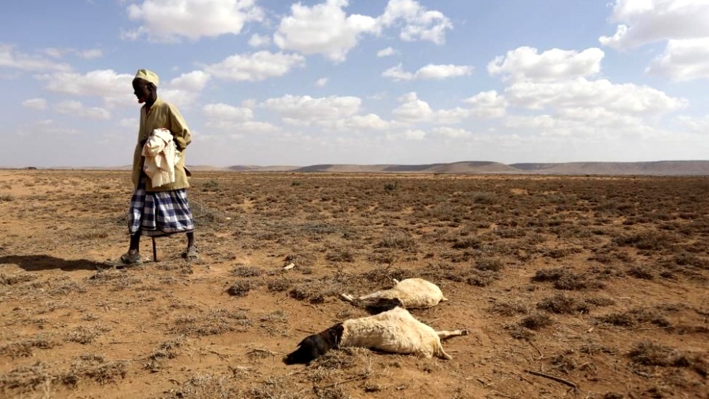 La ONU advirtió sobre la vulnerabilidad desproporcionada de África y subrayó que el cambio climático contribuyó a aumentar la inseguridad alimentaria, la pobreza y los desplazamientos de poblaciones en el continente el año pasado. Foto: Agencias.