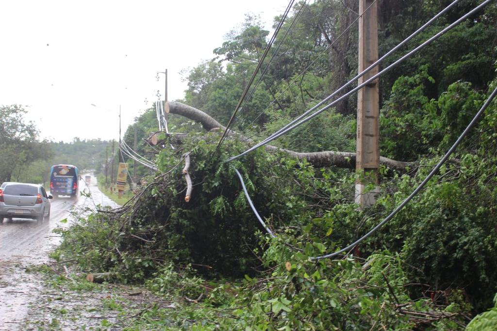 Varios cables quedaron sueltos productos de la caída de árboles. (Foto Agenda Paraguay)