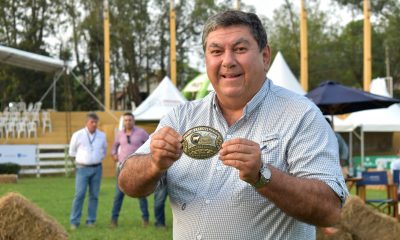 En hembras, una brangus paraguaya, criada por Ganadera Arandú S.A. de Ausberto Ortellado, se consagró como la mejor del mundo. Foto: ARP