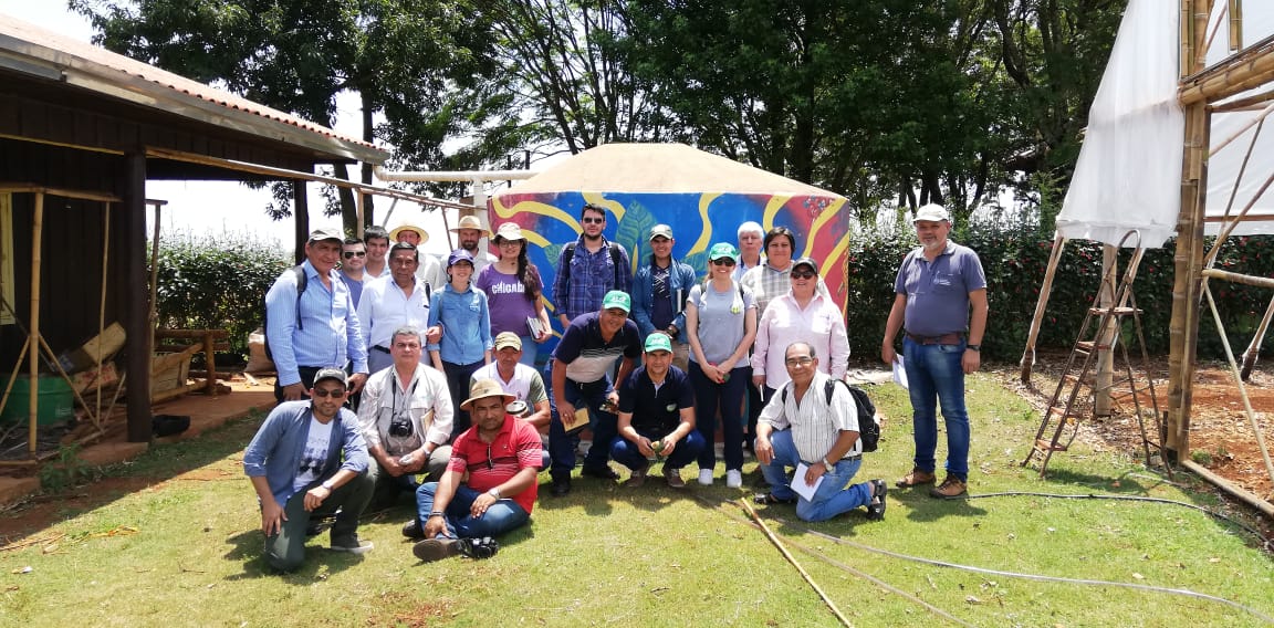 La producción orgánica es una alternativa emergente que ocupa a 50 000 productores paraguayos. Foto: Gentileza.