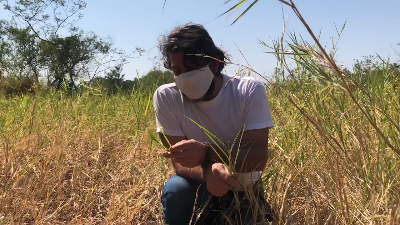 El bombero forestal, Ramón Villalba, quien se encuentra a cargo del proyecto, recordó el incendio ocurrido en el año 2019 que arrasó varias hectáreas y afectó a la fauna que lo habita. Foto: Gentilza.