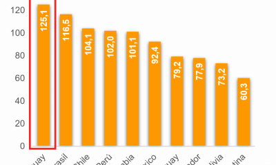 Gráfico Mentu