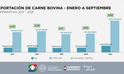 Complejo cárnico ya recaudó más de uSD 1.200 millones por exportaciones. Senacsa.