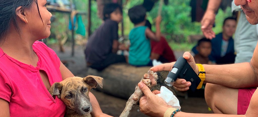 Uno de los mayores logros que se han alcanzado en la región es el de México, que en 2019 se convirtió en el primer país del mundo recibir de la OMS la validación oficial de país libre de rabia humana transmitida por perros. Foto: ONU.