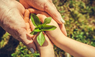 En múltiples regiones, los socios de la coalición realizan campañas para empoderar a los consumidores a tomar medidas en favor del medio ambiente, y también están apoyando estos esfuerzos de reforestación con tecnologías innovadoras de donación. Foto: Gentileza.