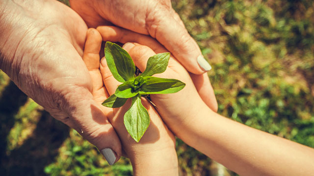 En múltiples regiones, los socios de la coalición realizan campañas para empoderar a los consumidores a tomar medidas en favor del medio ambiente, y también están apoyando estos esfuerzos de reforestación con tecnologías innovadoras de donación. Foto: Gentileza.