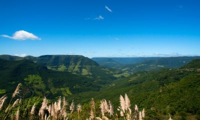 • Brasil posee 334 Parques Nacionales, también llamados "unidades de conservación", clasificadas por su belleza natural y relevancia ecológica. Foto: Gentileza.