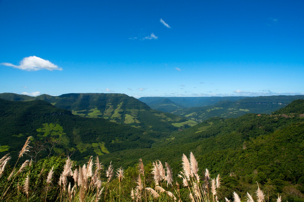 • Brasil posee 334 Parques Nacionales, también llamados "unidades de conservación", clasificadas por su belleza natural y relevancia ecológica. Foto: Gentileza.