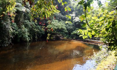 Parques Nacionales. Foto: Referencia.