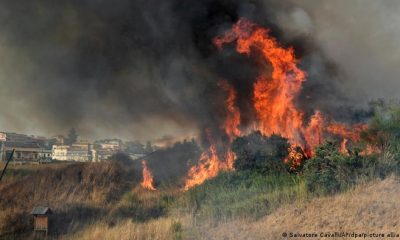 Incendio forestal cerca de Palermo, en la isla italiana de Sicilia. (Foto: Picture Alliance)