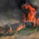 Incendio forestal cerca de Palermo, en la isla italiana de Sicilia. (Foto: Picture Alliance)