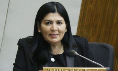 Diputada Del Pilar Medina. (Foto Diputados).