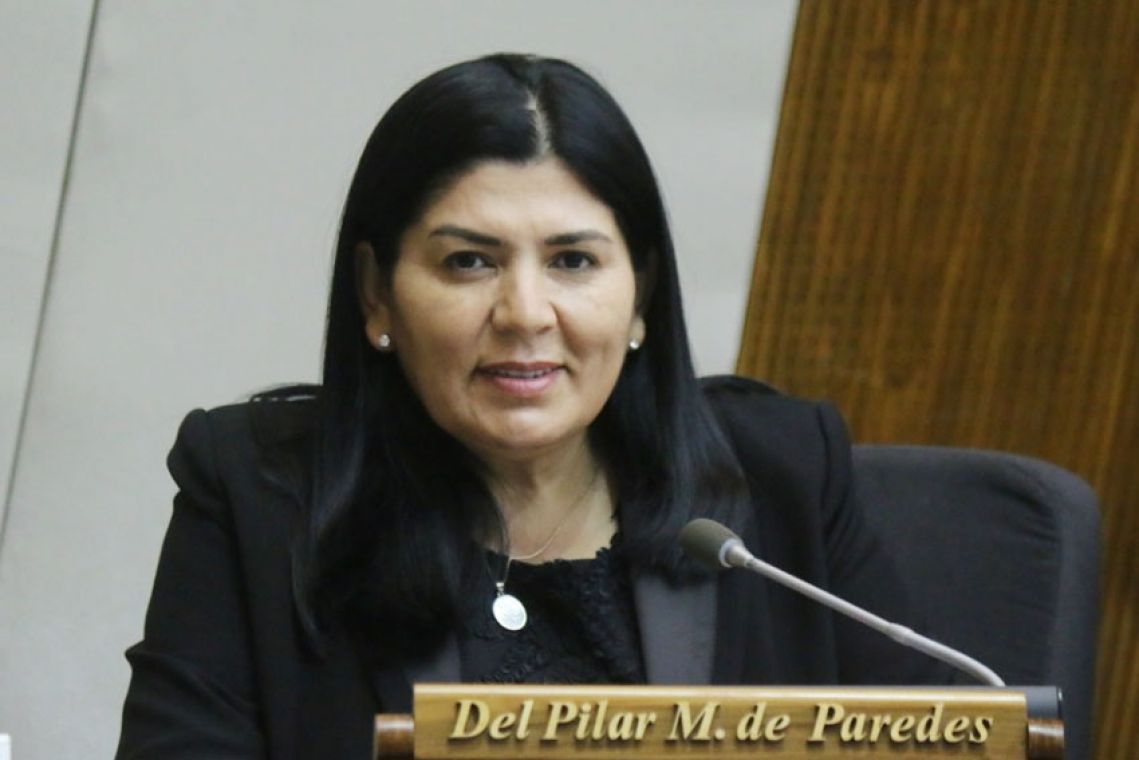 Diputada Del Pilar Medina. (Foto Diputados).