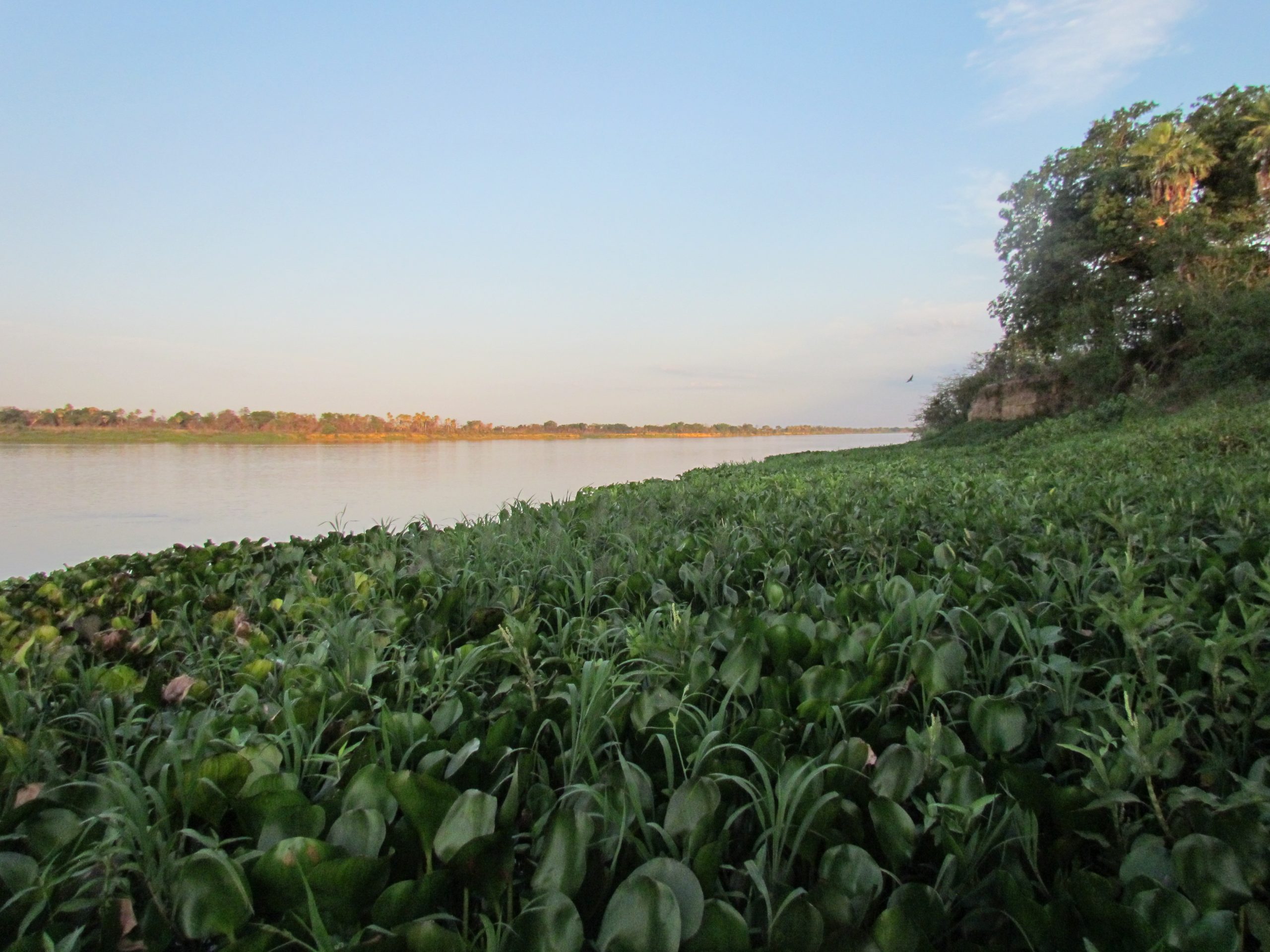 Río Paraguay. Imagen arhivo