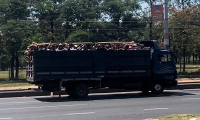 Campesinos se trasladan en camiones de gran porte y colectivos. (Foto: Gentileza).