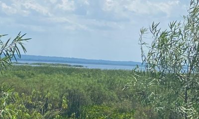 Las obras de relleno afectarían gravemente los humedales del lago Ypacaraí (Foto: Radio Ñandutí)