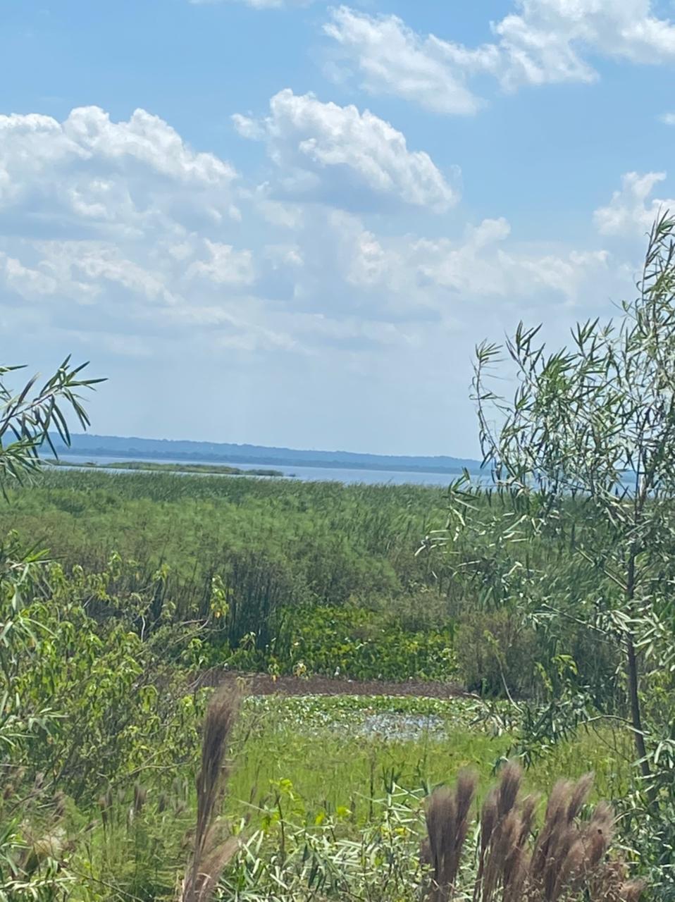 Las obras de relleno afectarían gravemente los humedales del lago Ypacaraí (Foto: Radio Ñandutí)