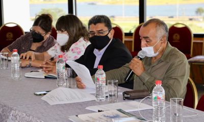 Mesa de trabajo, comisión del Senado. (Foto: Gentileza).