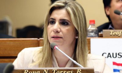 La diputada Roya Torres, presentó los pedidos de informe. (Foto Diputados).