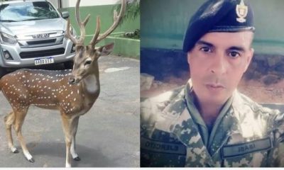 El animal atacó y mató al militar y escolta presidencial.