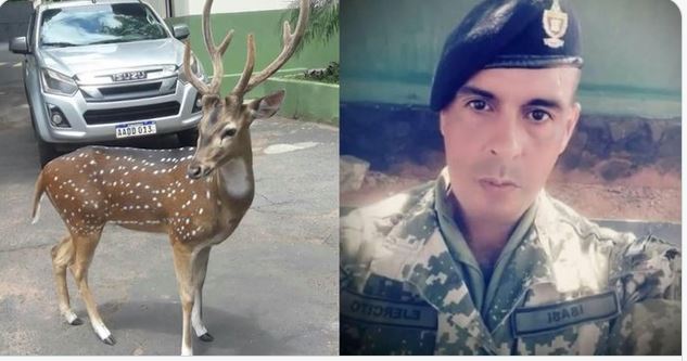 El animal atacó y mató al militar y escolta presidencial.