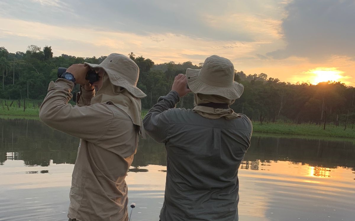 Los voluntarios buscan especies en el marco de la actividad de conteo de loros. (Foto Gentileza)