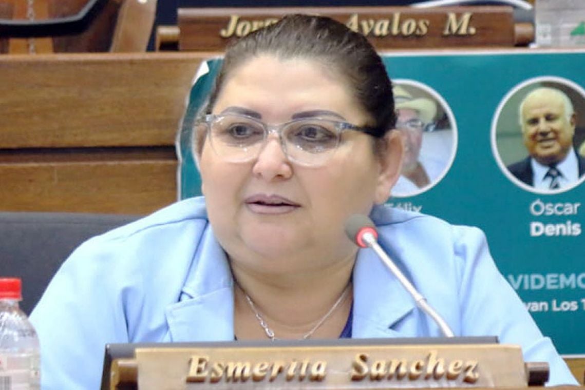 Esmérita Sánchez, diputada que solicité el pedido de informe. Foto: Gentileza.