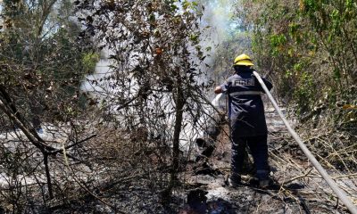 Para las próximas horas, el riesgo de incendios forestales es baja. (Foto: archivo)