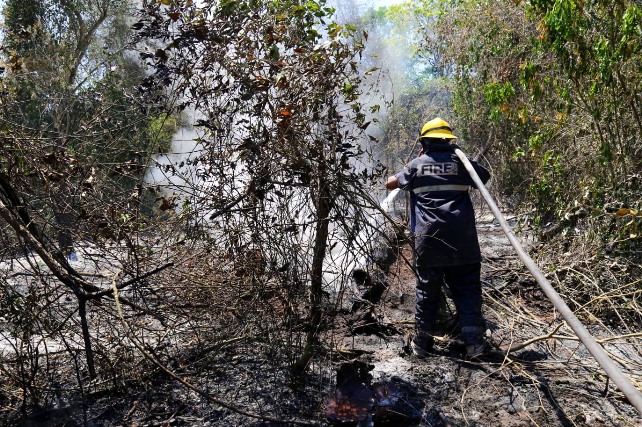 Para las próximas horas, el riesgo de incendios forestales es baja. (Foto: archivo)