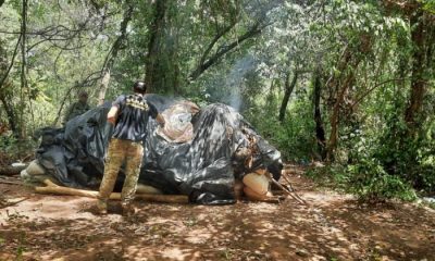 La droga fue destruida. (Foto Senad)