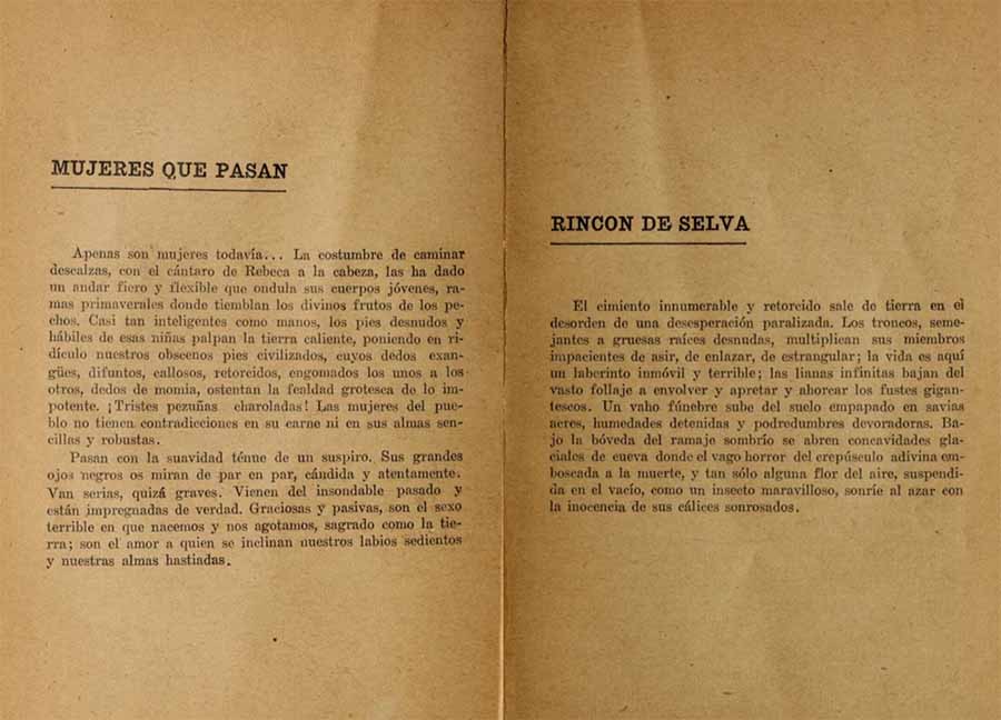 El dolor paraguayo, primera edición, Editorial La Protesta, Buenos Aires, 1909.