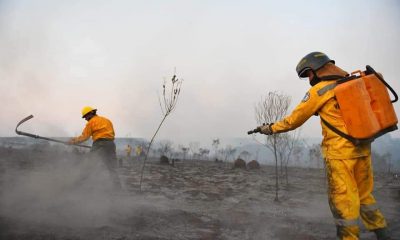 Incendios forestales en casi todo el país. Foto: Archivo.