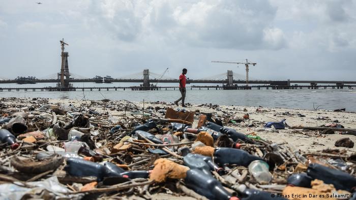 Mientras los líderes mundiales se reúnen en Francia para debatir sobre la protección de los océanos, dos importantes estudios muestran cómo el hombre ha causado catástrofes medioambientales para la vida marina. Foto: DW.