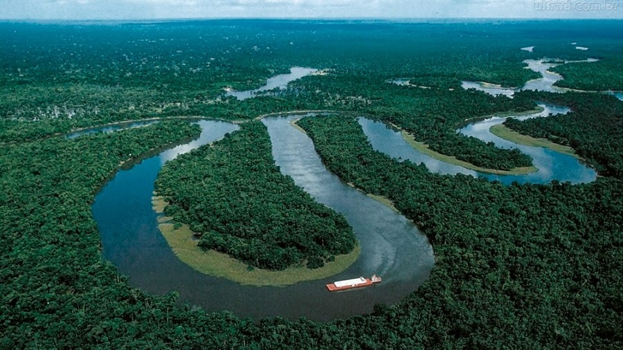 La presentación fue realizada por la Asociación de los Pueblos Indígenas y la organización no gubernamental Amazon Watch, al divulgar del informe anual sobre el avance de las empresas en las tierras indígenas de Brasil, país que posee el 60% de la selva amazónica. Foto: Agencias.