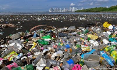 Los residuos plásticos han llegado "a todos los rincones de los océanos" y amenazan "la biodiversidad marina", alertó el Fondo Mundial para la Naturaleza (WWF), que pide un tratado internacional para hacerle frente. Foto: Getty Images.