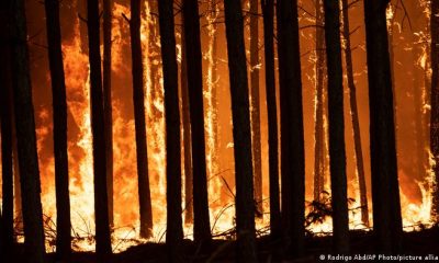 La provincia de Corrientes sufre desde enero pasado incendios forestales que han arrasado al menos 785.238 hectáreas. Foto: Picture Aliance.
