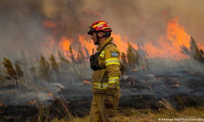 El PNUMA advirtió que los incendios forestales serán más frecuentes debido al cambio climático. Foto: Picture Aliance.