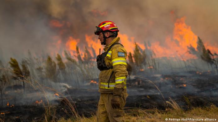 El PNUMA advirtió que los incendios forestales serán más frecuentes debido al cambio climático. Foto: Picture Aliance.