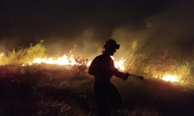 Los incendios forestales continúan siendo insostenibles en Ayolas. (Foto @bomberos132tv)