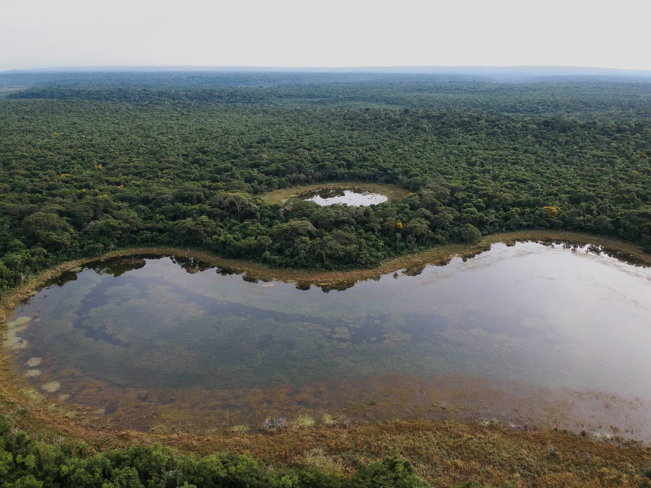 Se desarrollan diversas iniciativas dedicadas al cuidado y acceso a agua potable en el país liderando proyectos como Y kuaá, parte del programa regional Lazos de Agua y Sonidos de Ñemby. Foto: Gentileza.